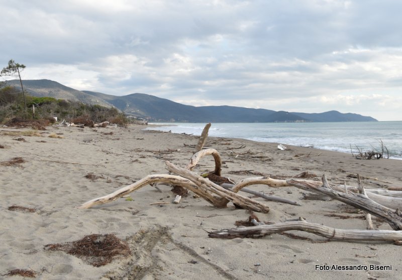 Marina di Alberese ed il Parco dell'Uccellina