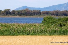 Il Lago di Burano - Oasi del wwf 