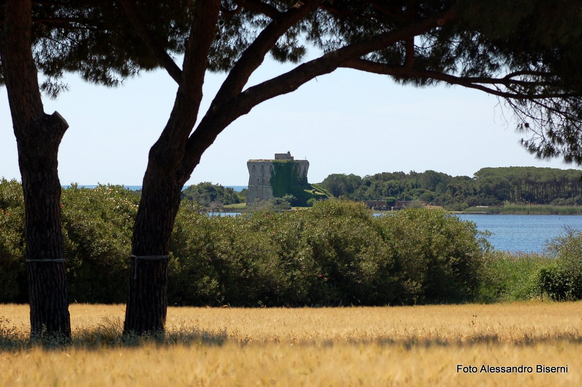 Il Lago di Burano - Oasi del wwf 