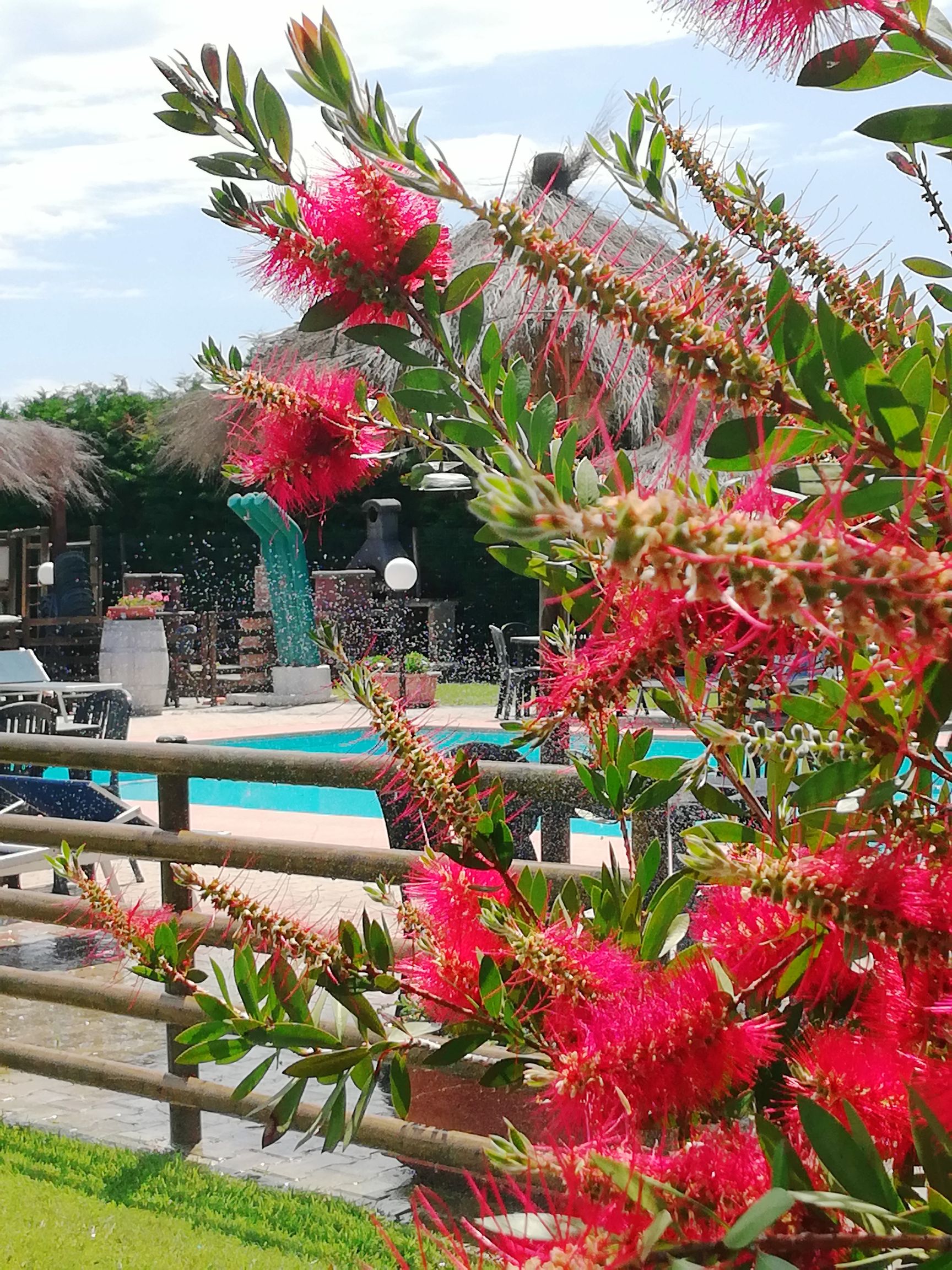 Agriturismo il Laghetto Alberese