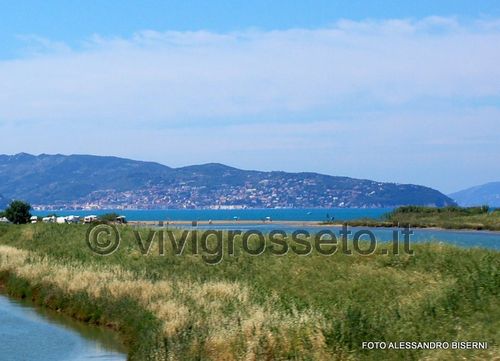 Oasi wwf di Orbetello 