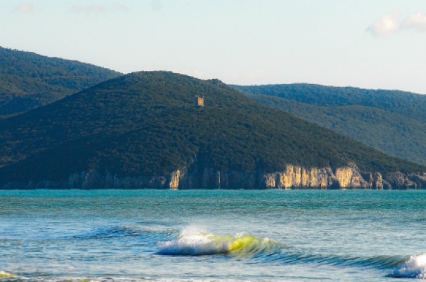 La spiaggia di Cala di Forno vista da Marina di Alberese