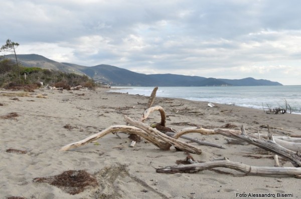 Marina di Alberese ed il Parco dell'Uccellina