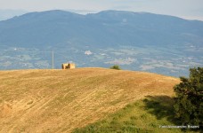 Civitella Marittima panorama