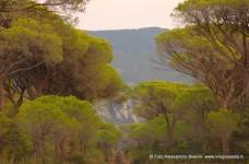 Parco dell'Uccellina Maremma Toscana