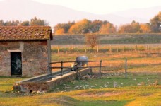 Marina di Alberese ed il Parco dell'Uccellina