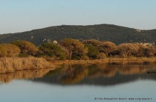 Bocca d'Ombrone Parco della Maremma