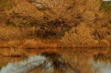 Parco della Maremma - Bocca d'Ombrone