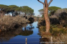 Parco della Maremma - Bocca d'Ombrone