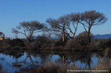 Alberese Bocca d'Ombrone