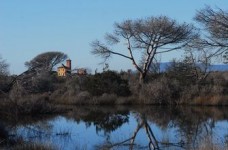 Parco della Maremma - Bocca d'Ombrone