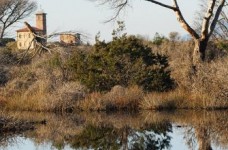 Bocca d'Ombrone Parco della Maremma