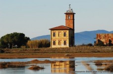 Parco della Maremma - Bocca d'Ombrone