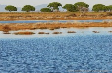 Parco della Maremma - Bocca d'Ombrone