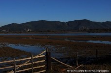 Parco della Maremma - Bocca d'Ombrone