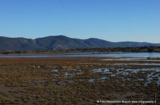 Parco della Maremma - Bocca d'Ombrone