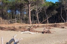 Marina di Alberese Parco dell'Uccellina 