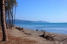 Marina di Alberese Parco dell'Uccellina 