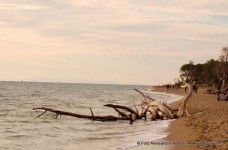 Marina di Alberese Parco dell'Uccellina 