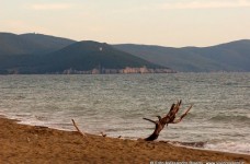 Marina di Alberese Parco dell'Uccellina 