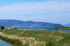 Oasi wwf di Orbetello 