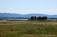 Oasi wwf di Orbetello 