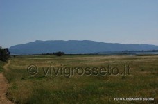 Oasi wwf di Orbetello 