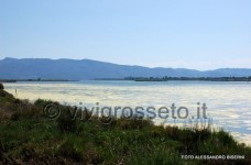 Oasi wwf di Orbetello 