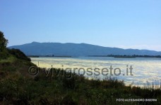 Oasi wwf di Orbetello 