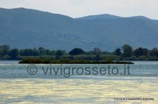 Oasi wwf di Orbetello 