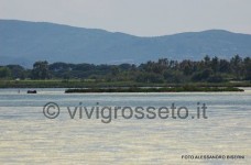 Oasi wwf di Orbetello 