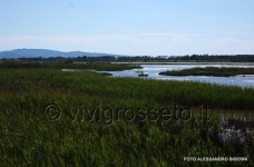 Oasi wwf di Orbetello 