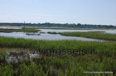 Oasi wwf di Orbetello 