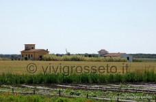 Il Lago di Burano - Oasi del wwf 