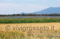 Il Lago di Burano - Oasi del wwf 