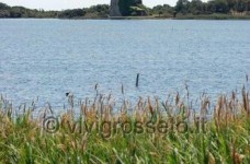 Il Lago di Burano - Oasi del wwf 