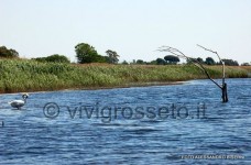 Il Lago di Burano